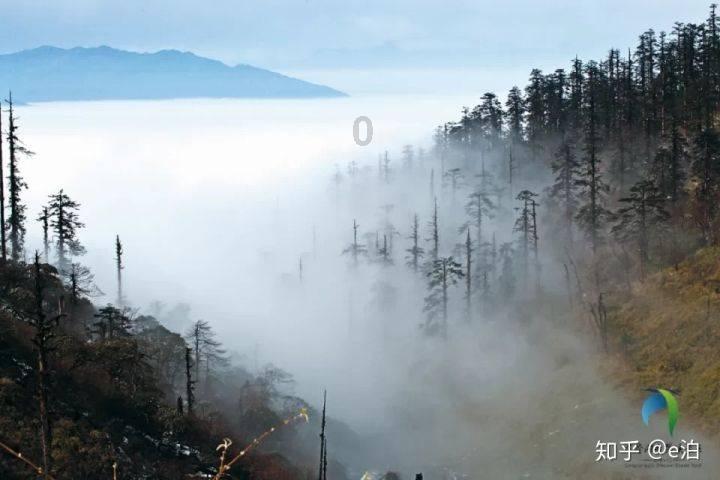 溢多利:预计2023年度净利亏损0元~2000万元,同比转亏