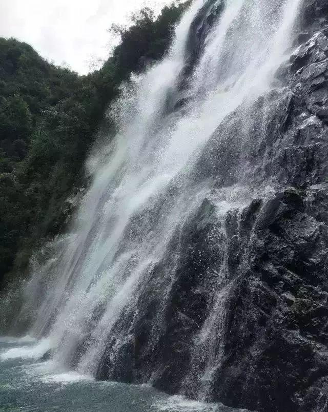 部落陷阱逃脱